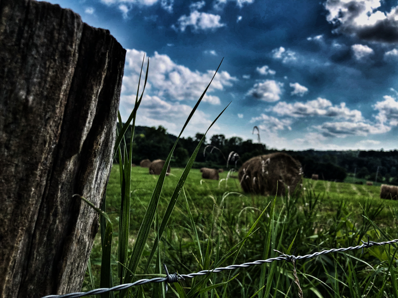 Illustration for article titled Pics from southern Indiana
